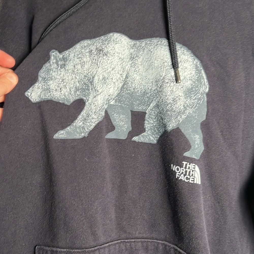 The North Face Hoodie Men Large Blue Sweatshirt Bear Graphic Hiking Outdoors TNF